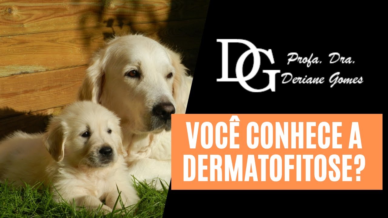 037. Você conhece a Dermatofitose?