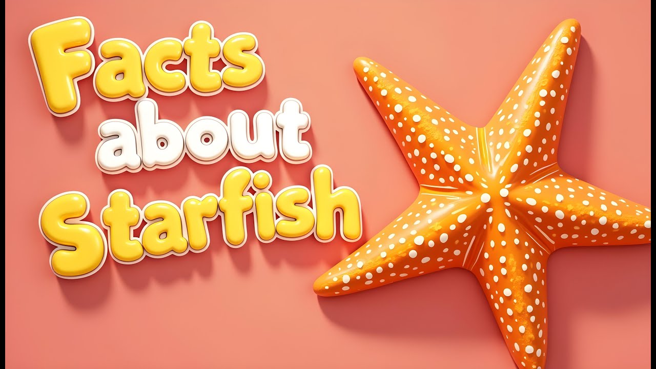 Удивительные факты о морских звездах для детей | Интересные факты об океанических животных!