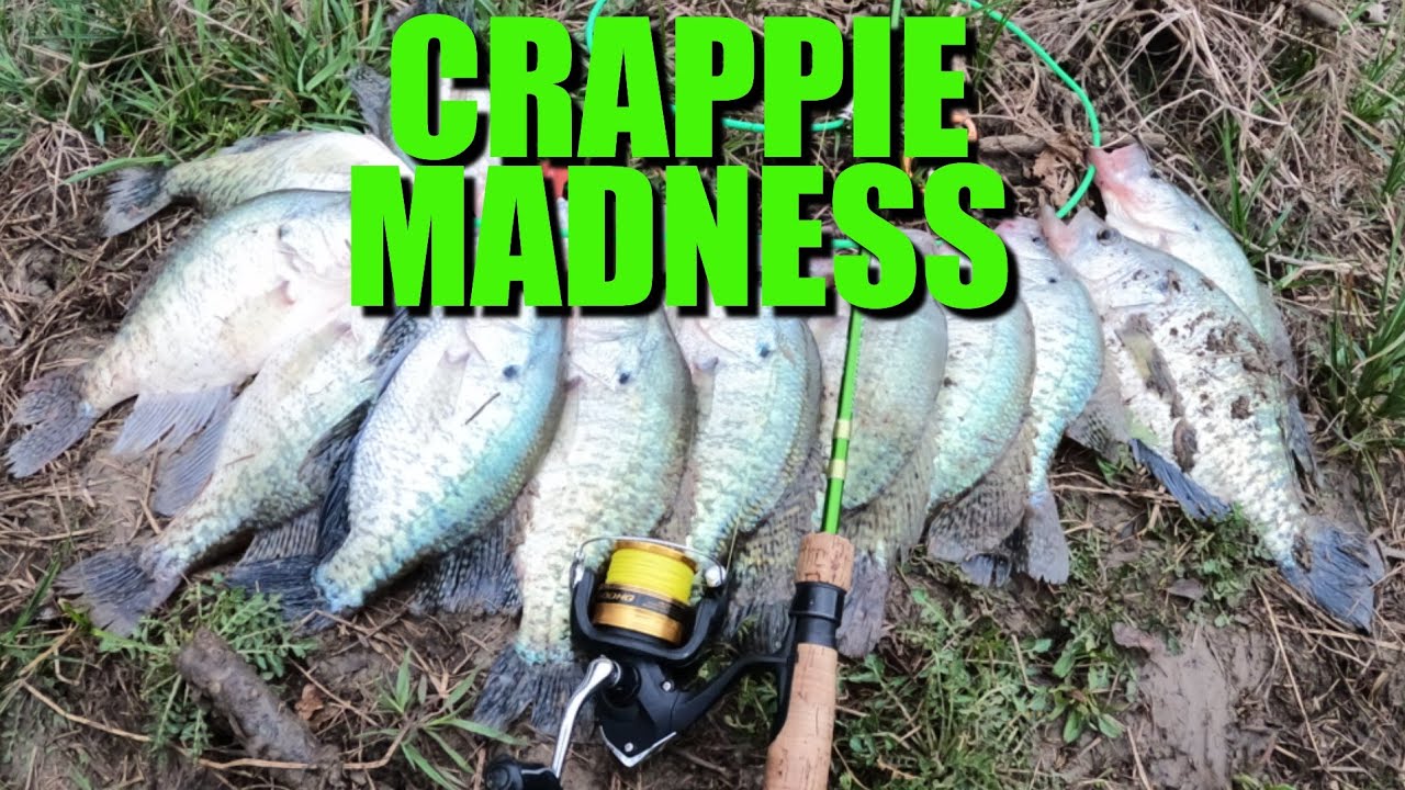 Crappie Madness: Non-Stop Action!