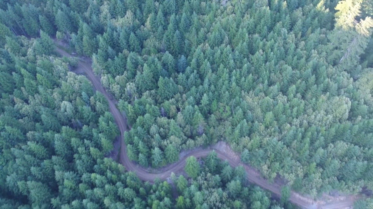 160 Acre Cannabis Property in Humboldt