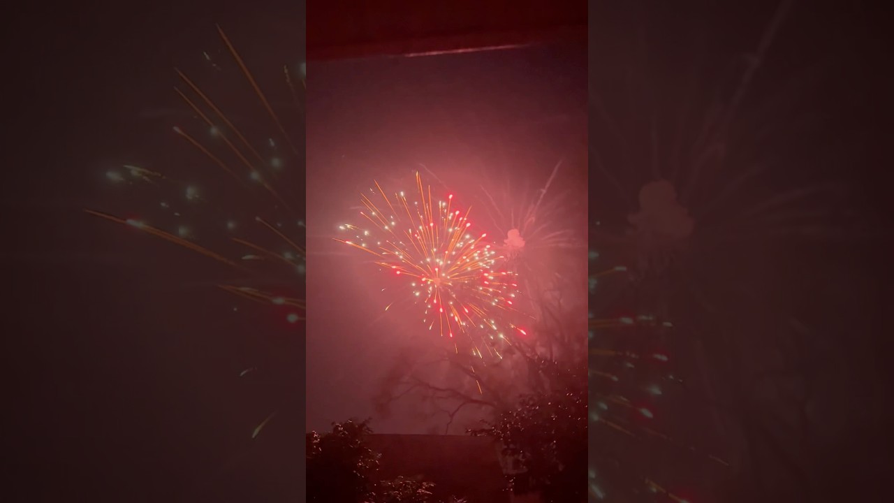 Happy New Year from my backyard 