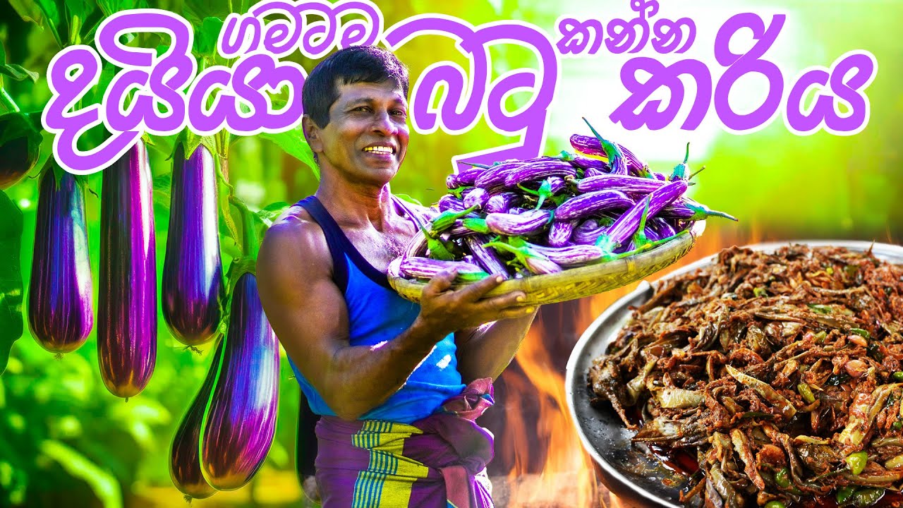 ගමටම කන්න දයියා වම්බටු කරිය, Spicy Eggplant / Brinjal Curry Cooked and Shared with Villagers.