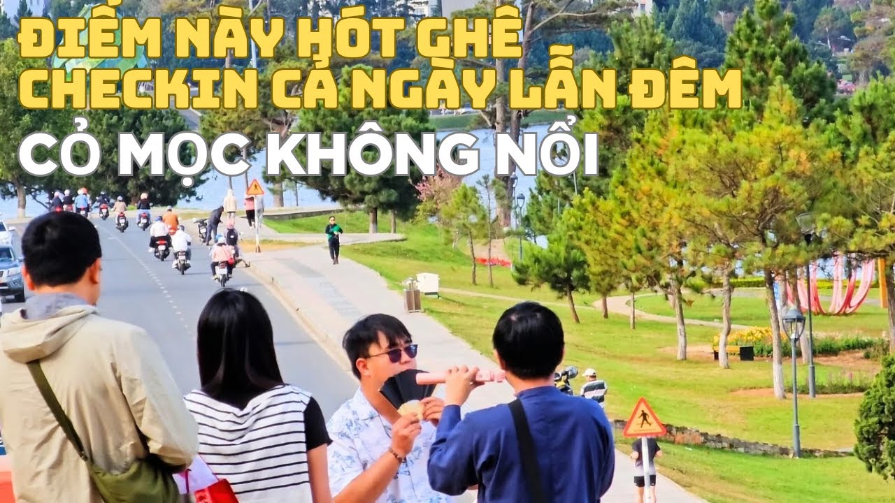 Đà Lạt điểm này hót ghê, đu trend checkin cả ngày lẫn đêm.