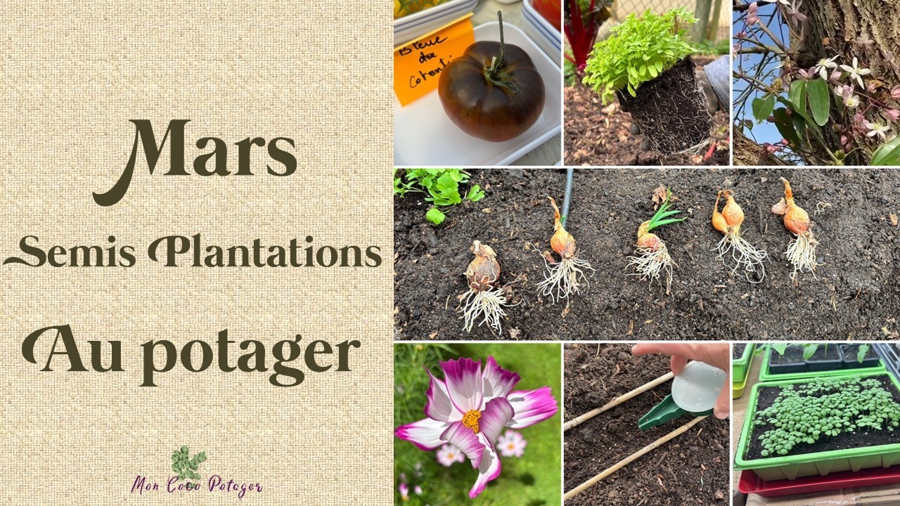 Que faire au potager en Mars 2026