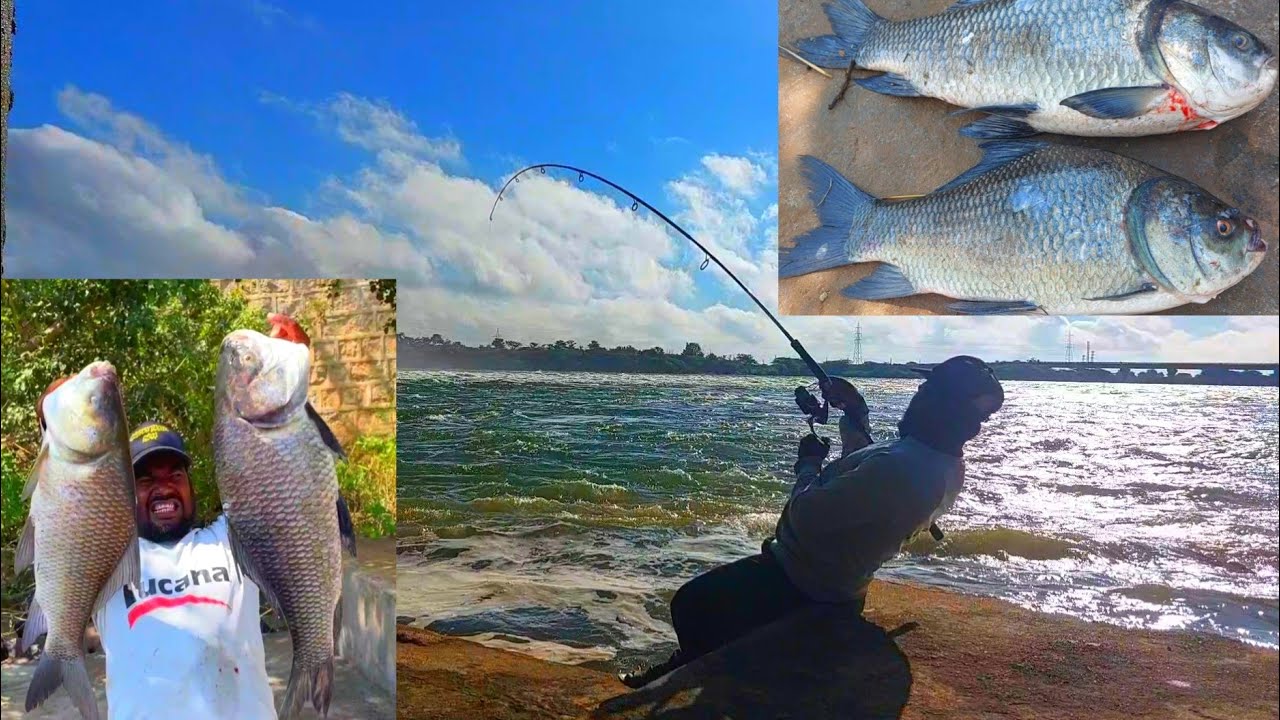 Rain Fishing Rainwater Fishing | Big Katla Fish | Hook Techniques | Catla fish | Mirgal Carp Fish