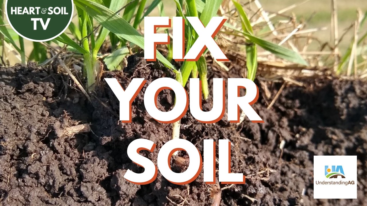 5 Soil Principles That Regenerate Farms | Gabe Brown