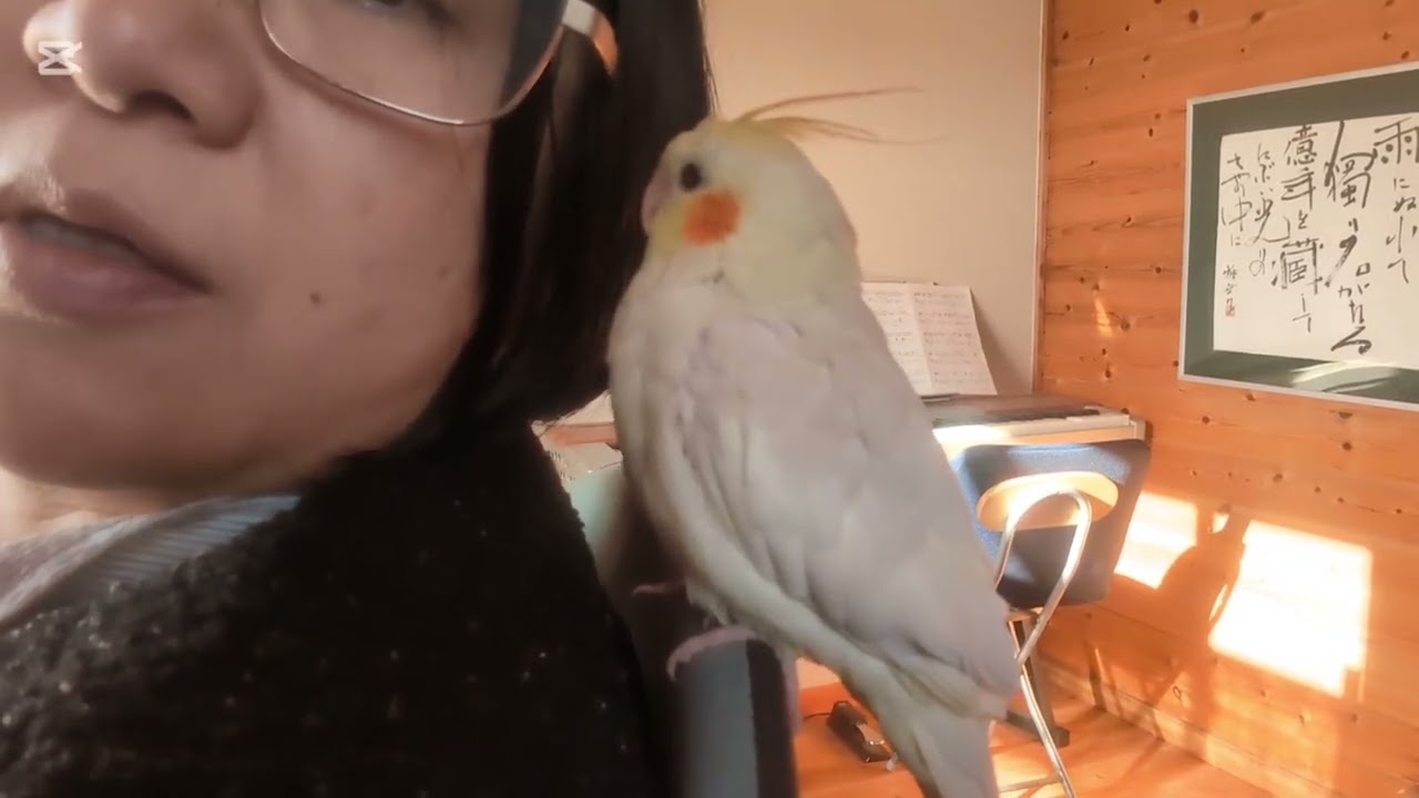 れんちゃん頑張ってます👍