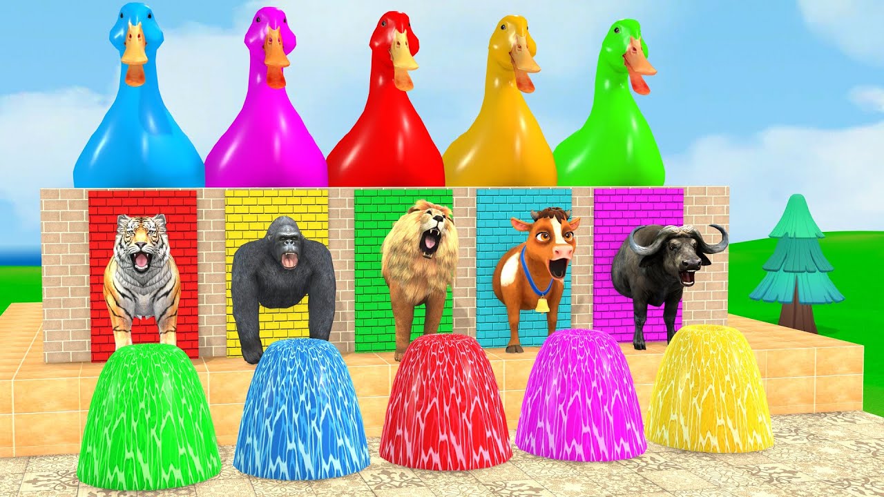 Long Slide Game With Cow Elep\t Gorilla Hippopotamus Tiger 3d Animal Game Funny 3d Animals