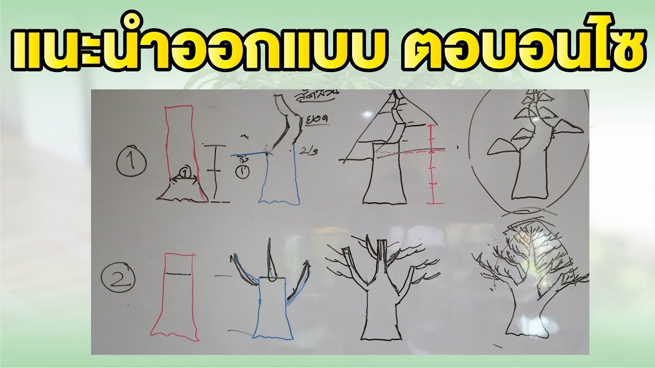 Bonsai Station [Senior Station] EP.24 แนะนำการออกแบบตอบอนไซ