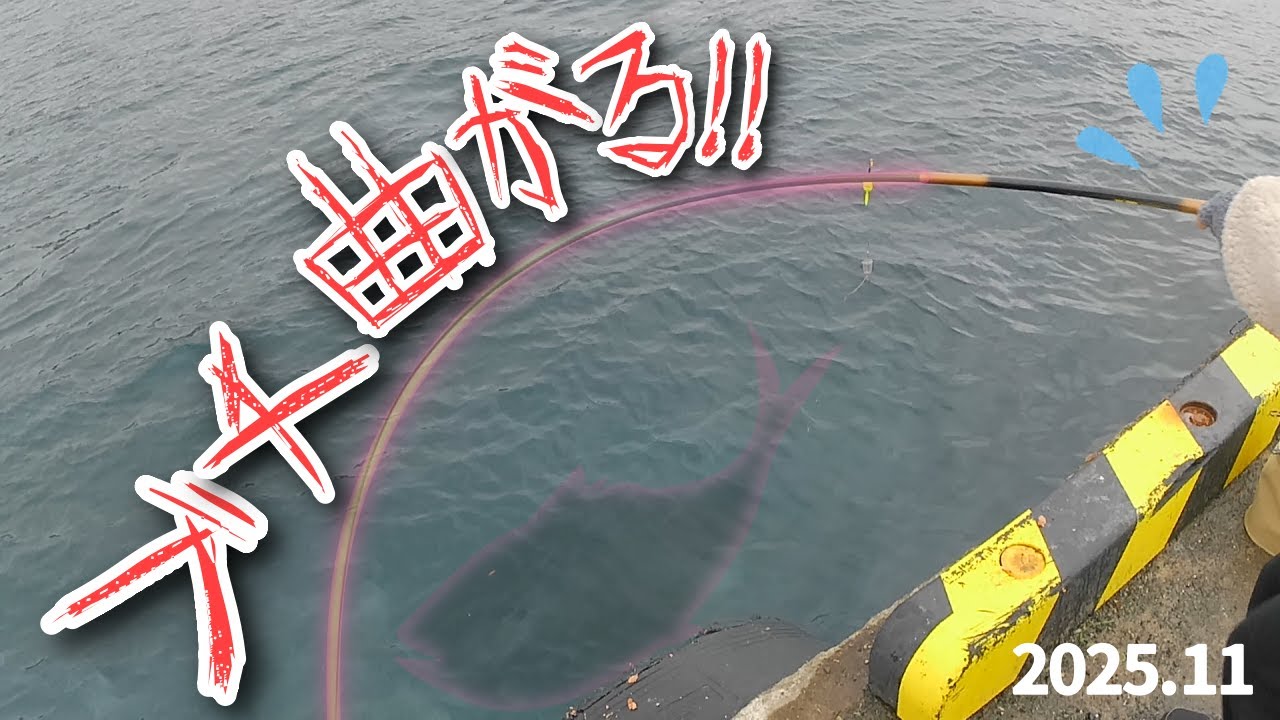 #103【堤防】車中泊して今が旬のカマスを狙うが…