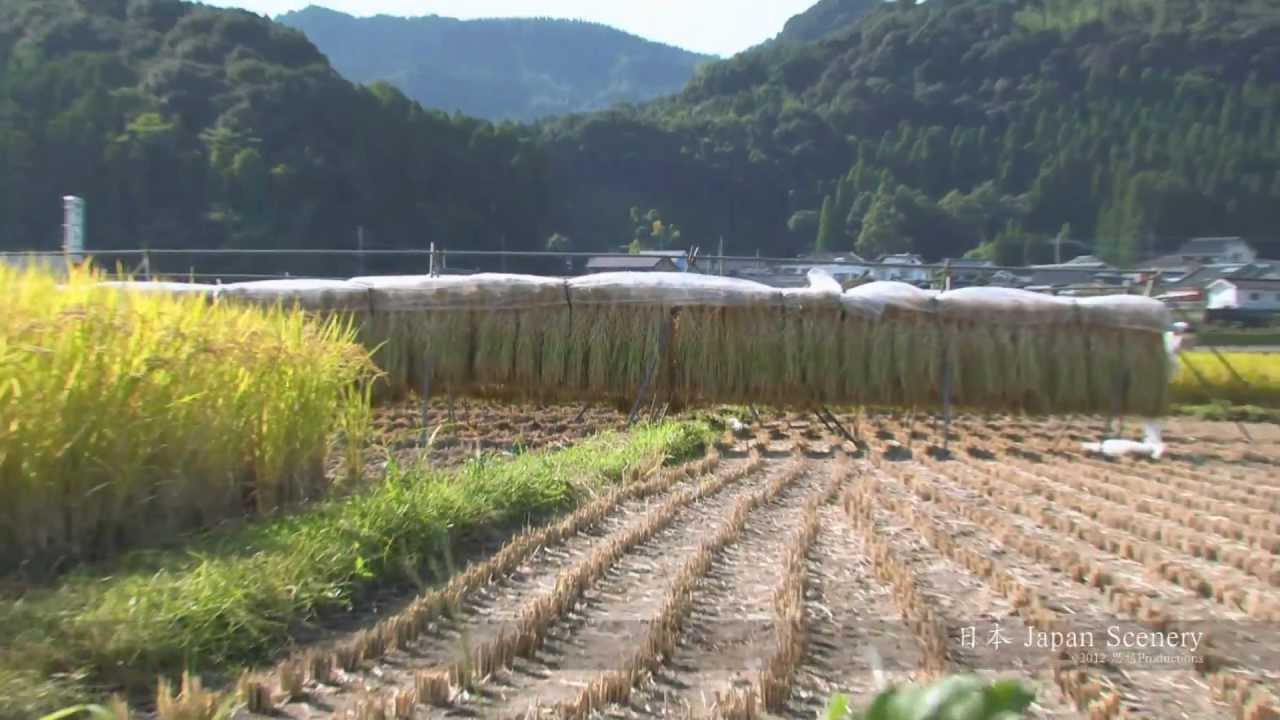 霧島・九州  Kirishima, Japan