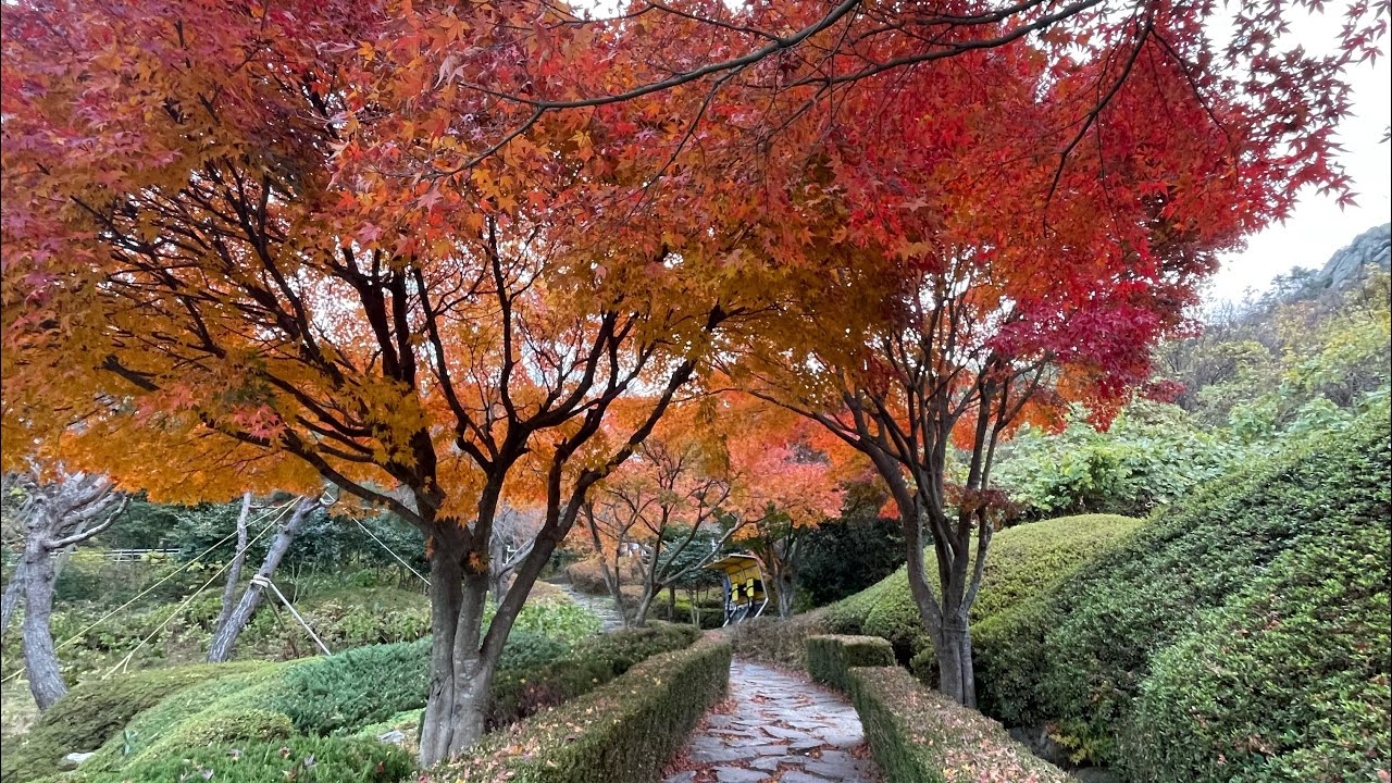 유달산 어민동산-3등바위-2등바위-1등바위-2등바위-3등바위-어민동산 2025.12.02