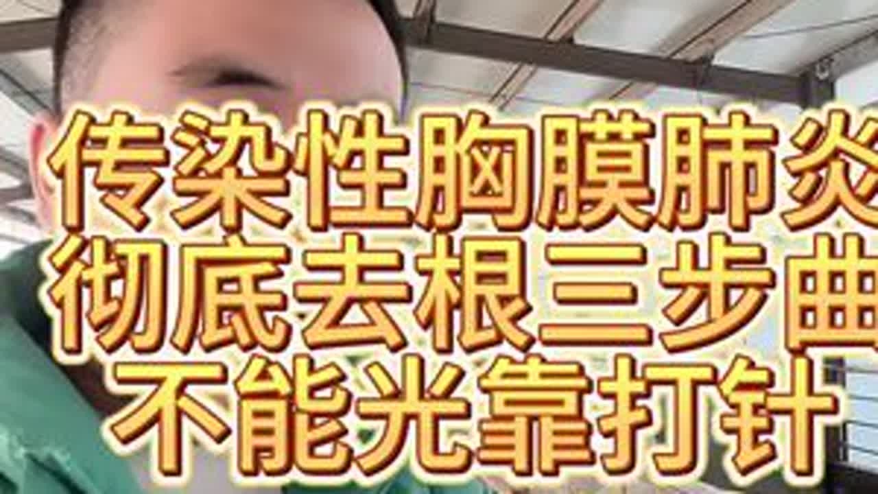 #三农 #传染性胸膜肺炎 #羊烂肺病 #羊烂肺 #新农人计划2024