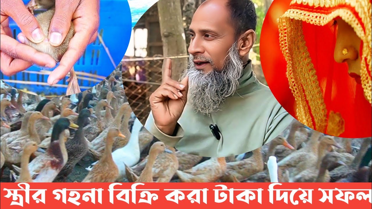 গৃহবধূর গহনা বিক্রি করে হাঁস খামারের সফল খামারি -- খামারির জীবন কাহিনী -- হাঁস খামারের সফলতার গল্প।