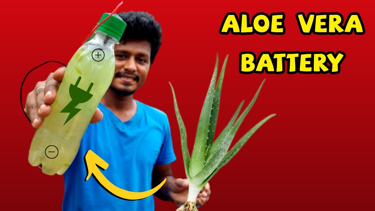 How to Make Rechargeable AloeVera Battery? | கற்றாழை பேட்டரி செய்வது எப்படி? | Vijay Ideas