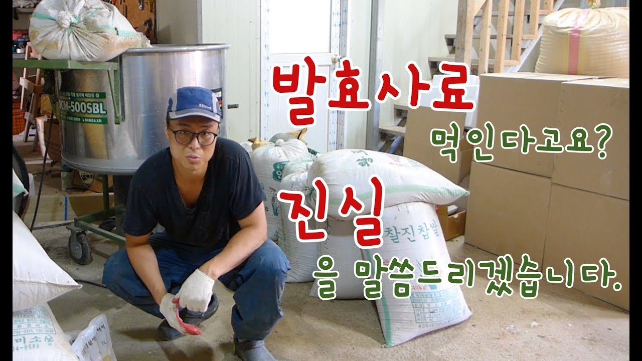 배합사료 먹인 닭이 낳은 계란? 진실을 말씀드리겠습니다.