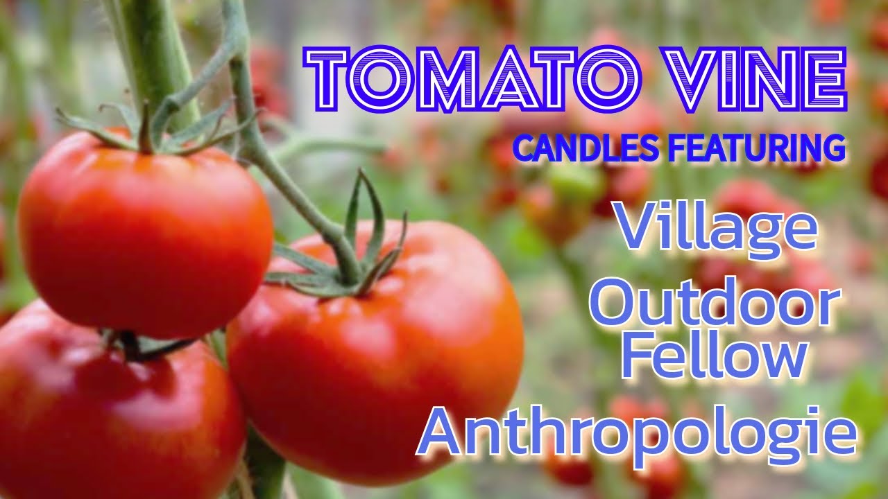 ALL THE TOMATOES 🍅 candle reviews 🍅 from Village, Outdoor Fellow, and Anthropologie