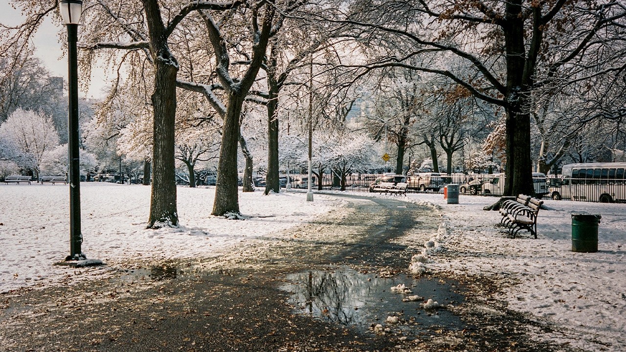 Shooting Film in New York City
