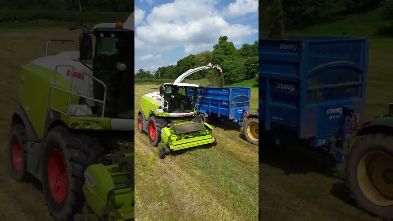 Hallon Holstiens First Cut Silage 2024 || DTJ Morris & Son