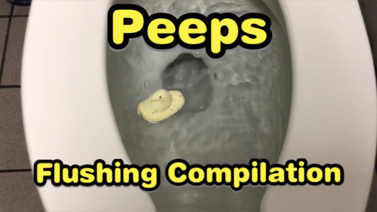 265. Peeps Flushing Compilation