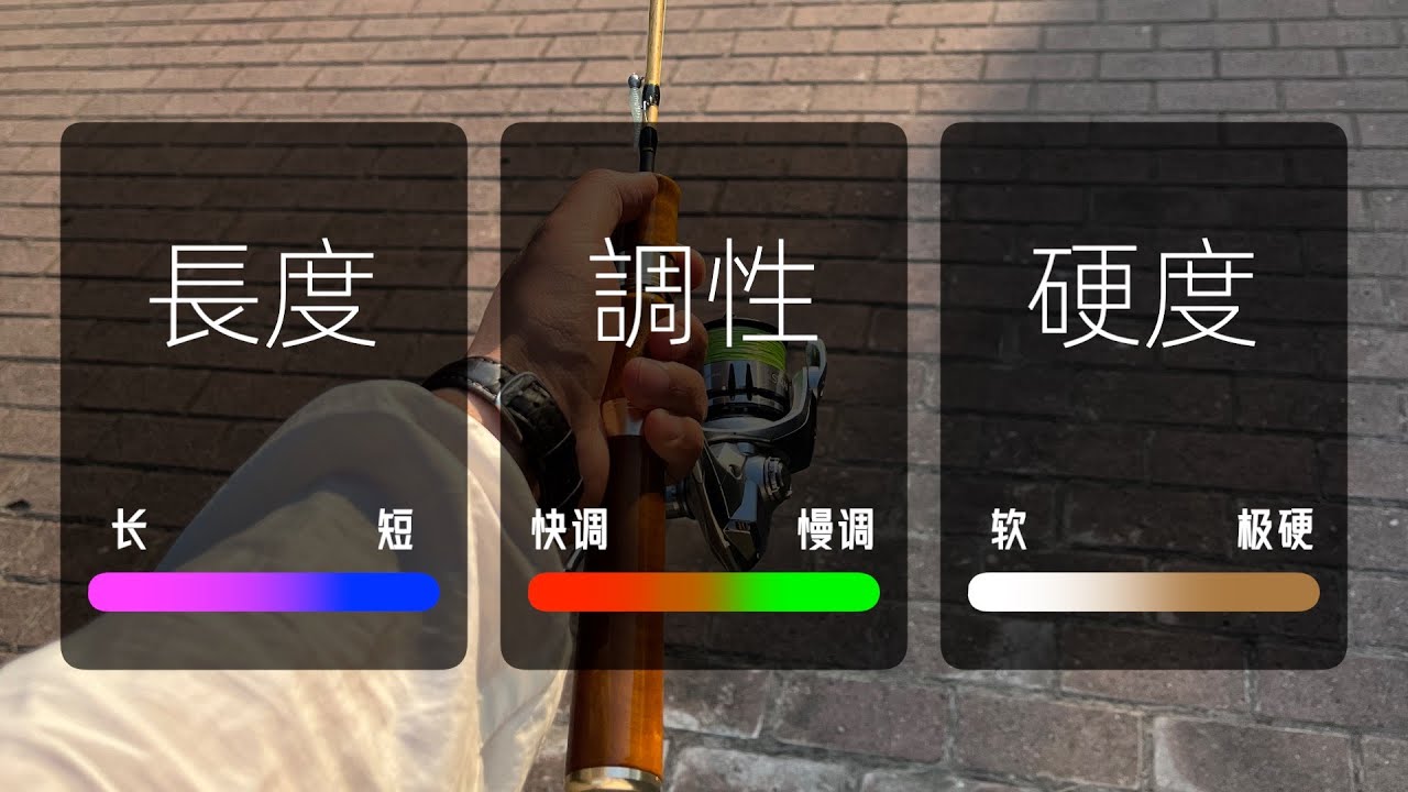 路亞竿怎麼選？硬度 × 調性 × 長度 深度解析，新手路亞裝備選擇看這邊！