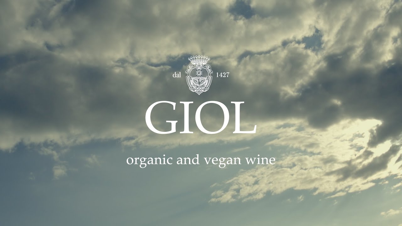Tenuta Giol: Old Winery, since 1427