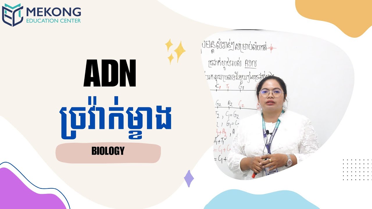 ចំណុចសំខាន់សម្រាប់ប្អូនៗថ្នាក់ទី១២ ទាក់ទងលំហាត់ជីវវិទ្យា ច្រវ៉ាក់ម្ខាងរបស់ ADN