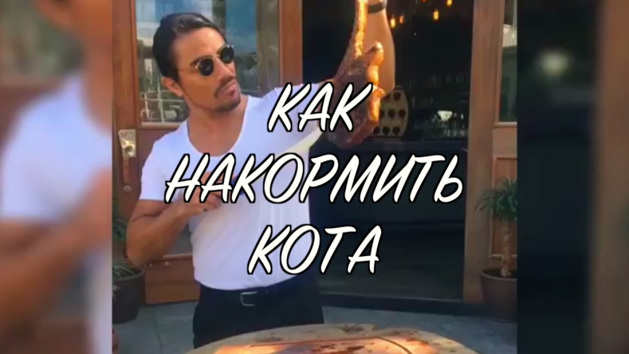 Как накормить кота? (Зарисовка #3) nusr_et