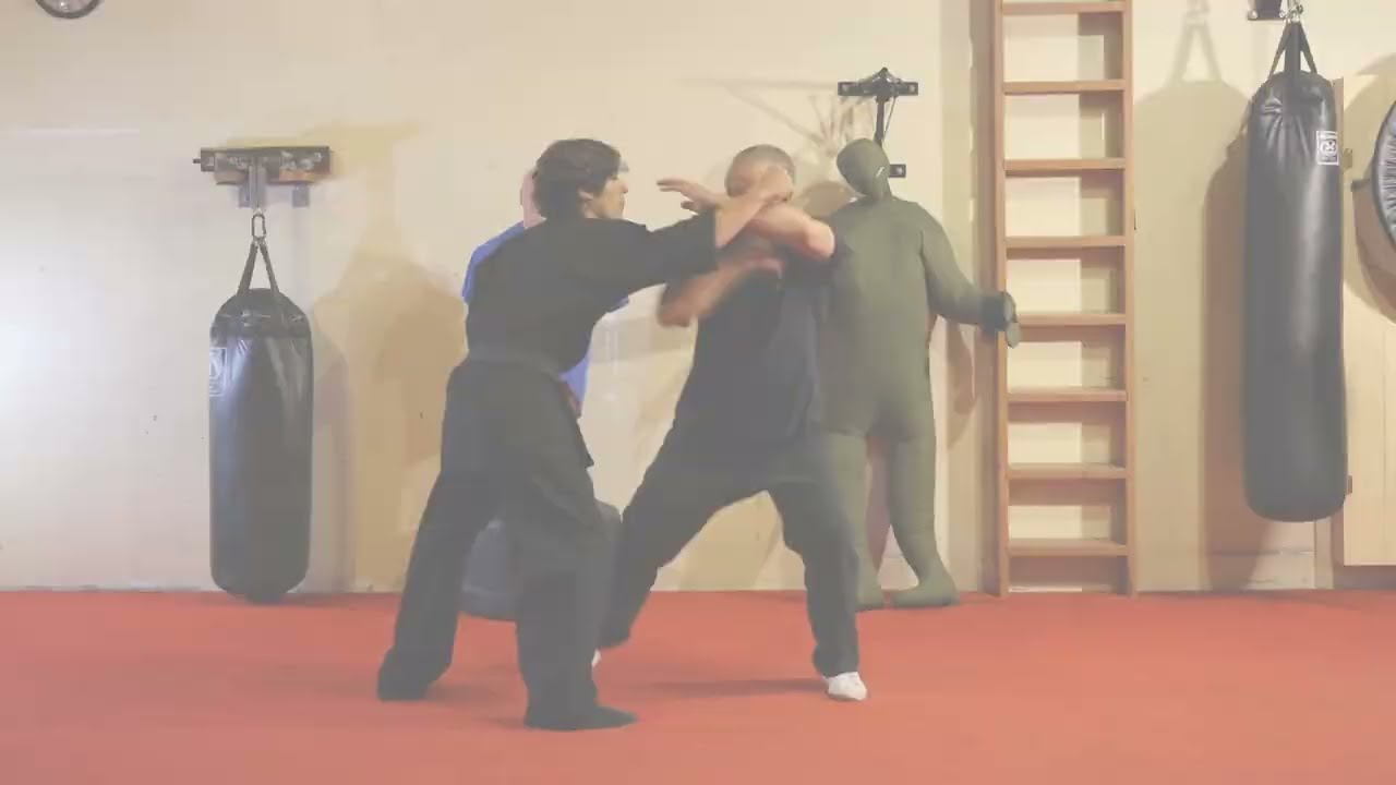 Ah Soo 1  5 Kung Fu San Soo