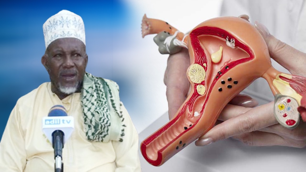 UZAZI WA MPANGO KATIKA SAYANSI YA QUR'AN | SHEIKH SLEIMAN BIN ABBAS
