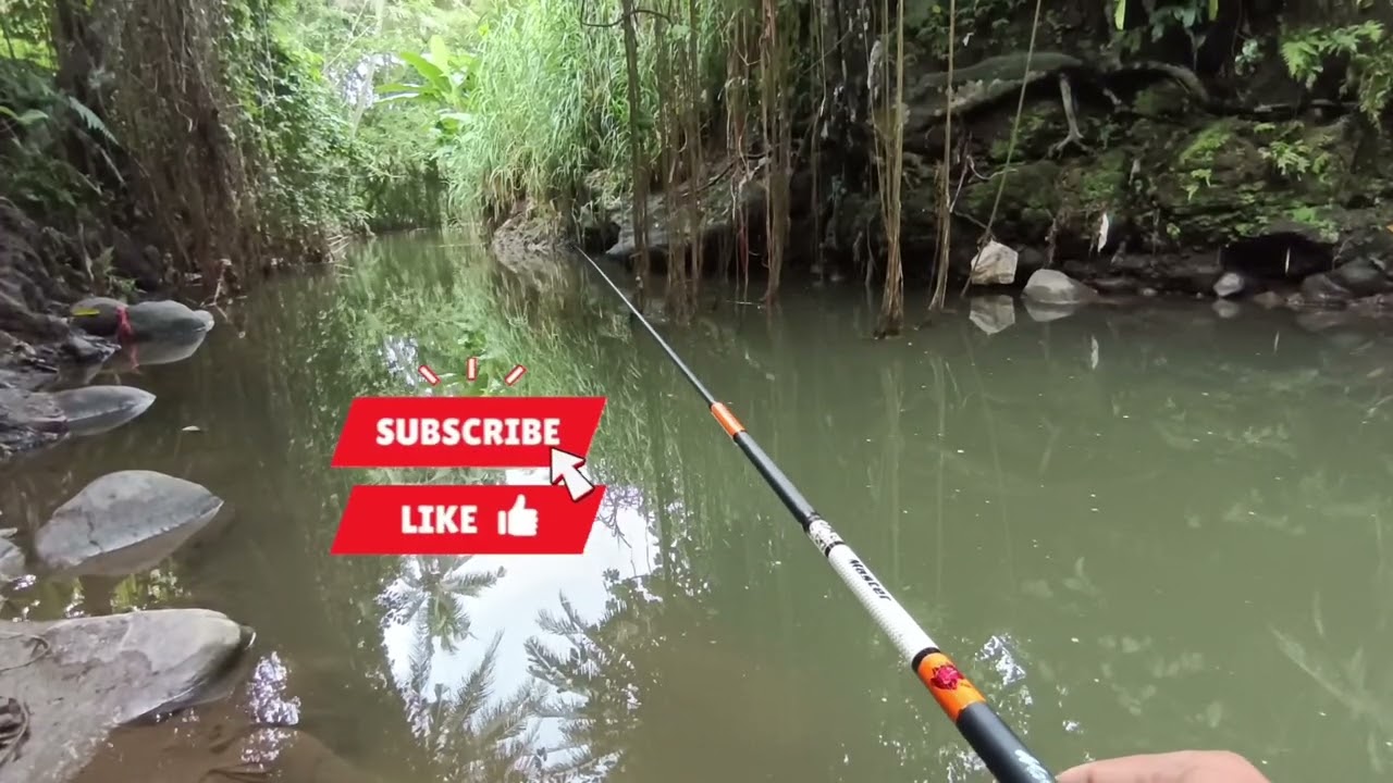 Spot anti boncos‼️nol nil ikan wader pari ‼️micro fishing#mancing #mancingmania #fishing 