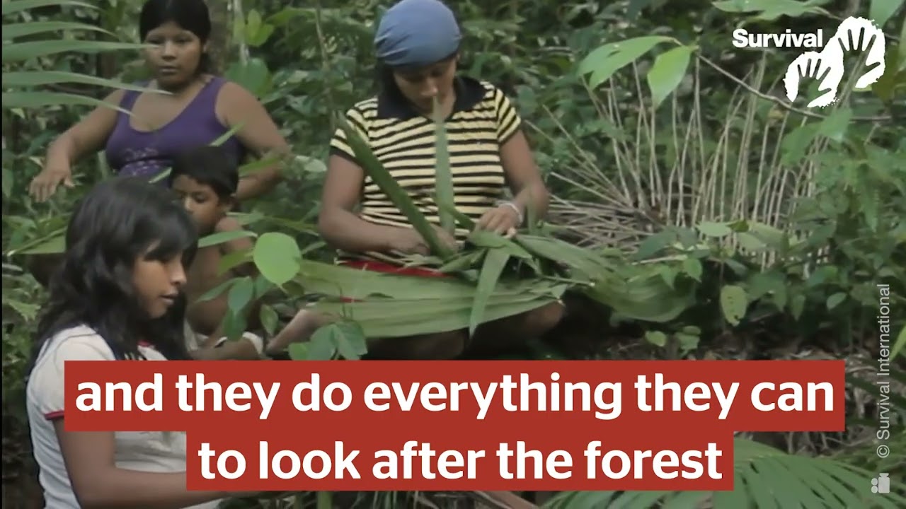 «Теперь мы счастливы, лес наш».