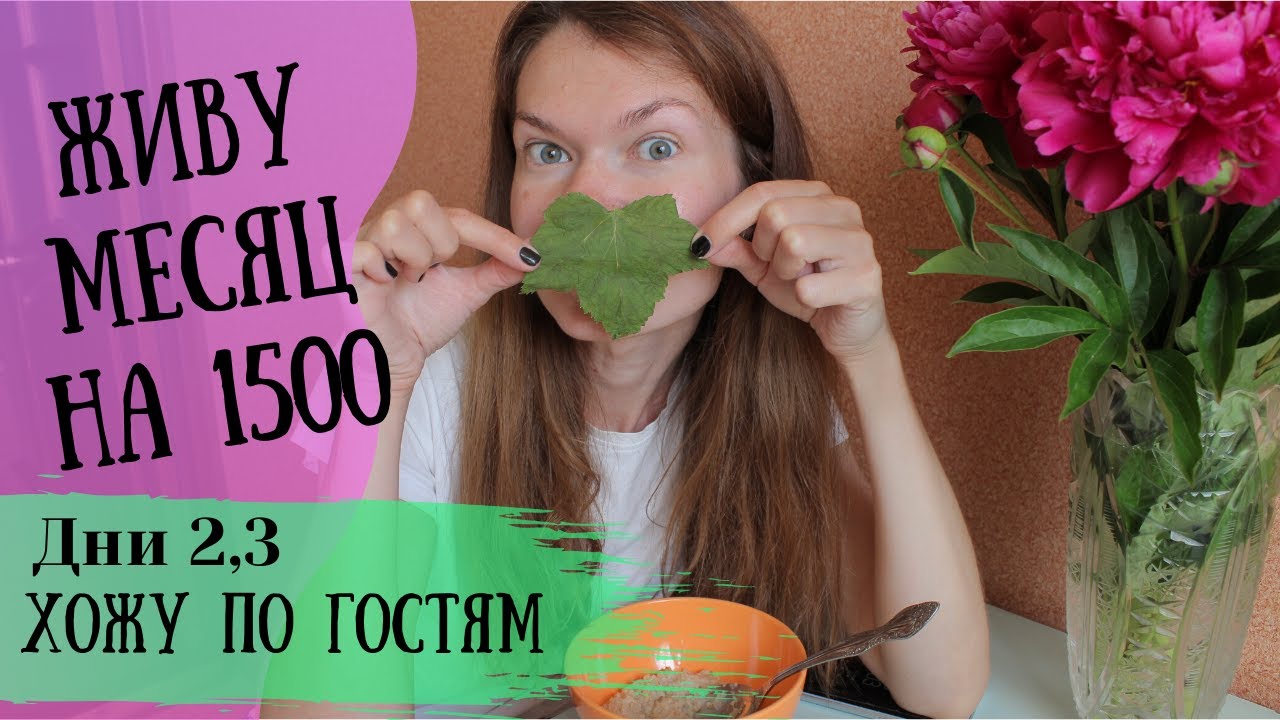 ЖИВУ НА 1500 Рублей МЕСЯЦ☘День 2, 3. Хожу по гостям