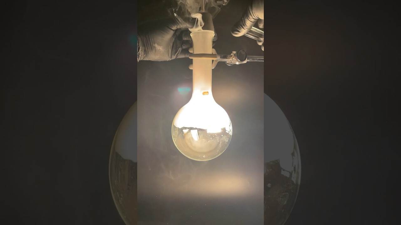 El Sol ☀️ de F&oacute;sforo. El primer elemento descubierto por la alquimia #ciencia #experimento #qu&iacute;mica