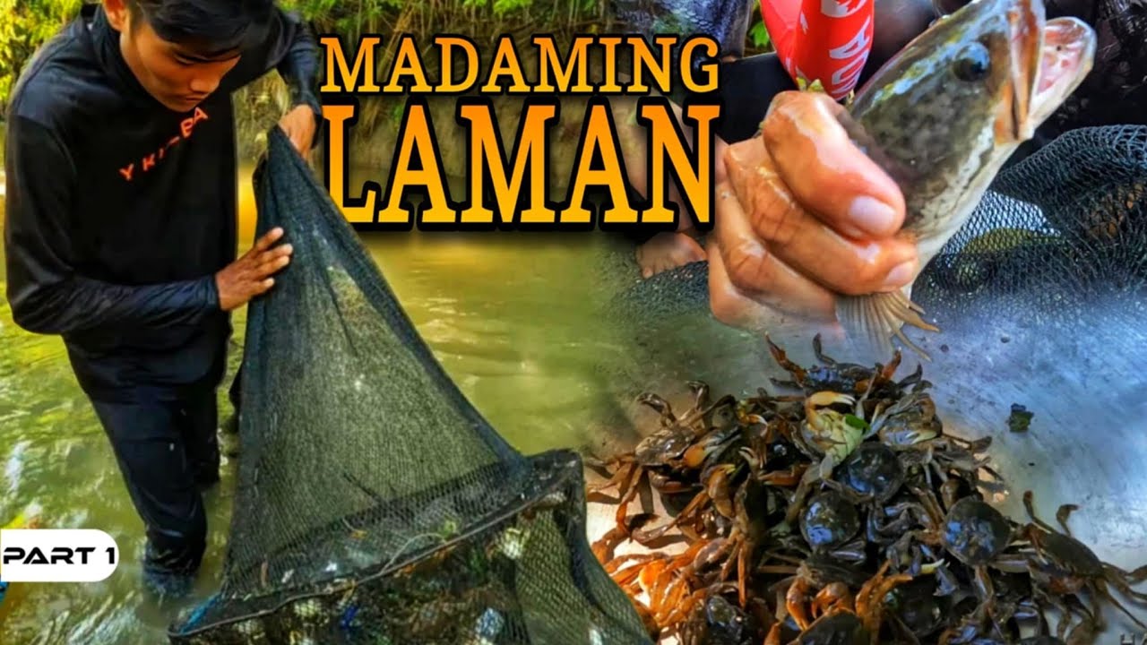 P1 - Andaming Laman ng Bokatot - EP1532