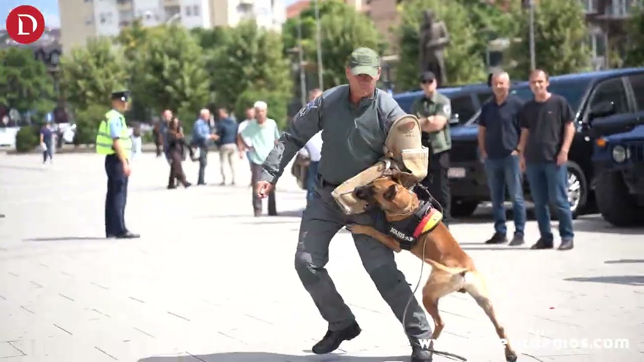 Policia demostron aftësitë e qenve të njësitit K-9, “Lisa” zbulon lëndë narkotike dhe para