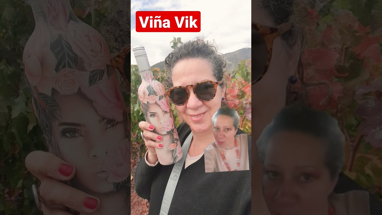 Viña Vik a mais top do Chile !