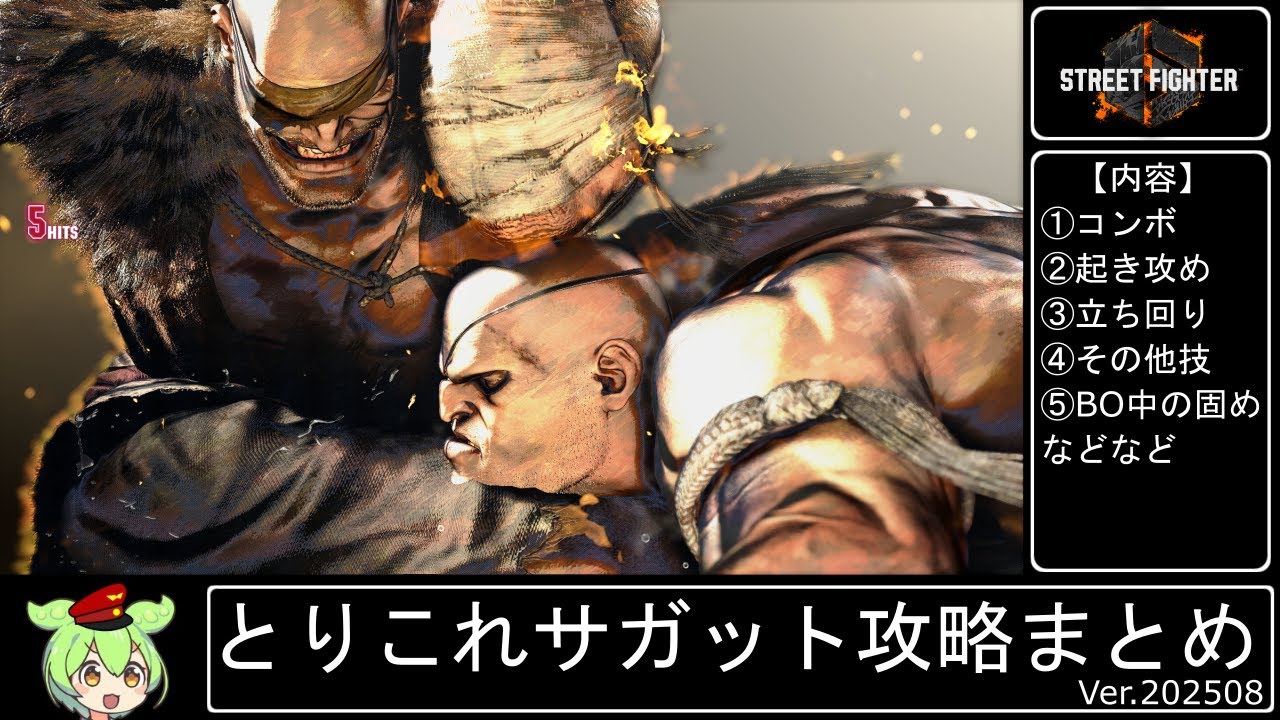 【スト６】とりこれサガット攻略まとめ【サガット】