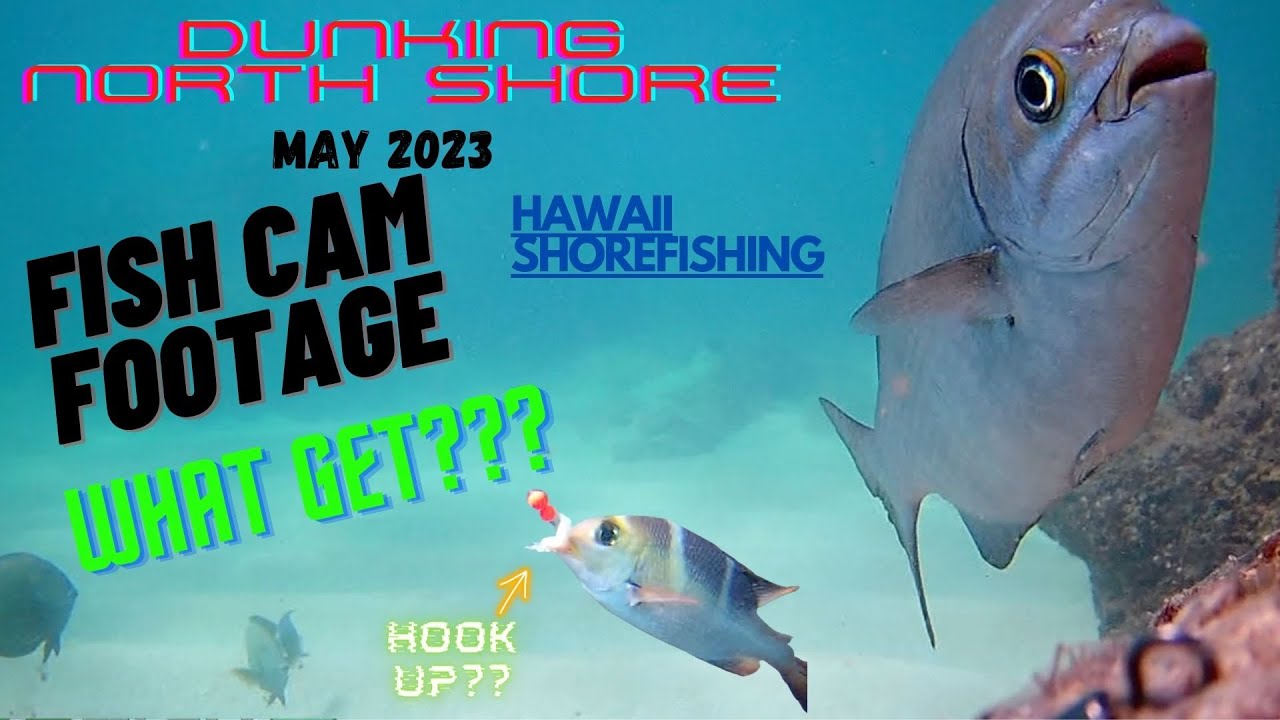 WHAT GET? DUNKING NORTH SHORE MAY 2023, FISH CAM FOOTAGE #fishing #gofishcam #hawaii  #omilu #Mu