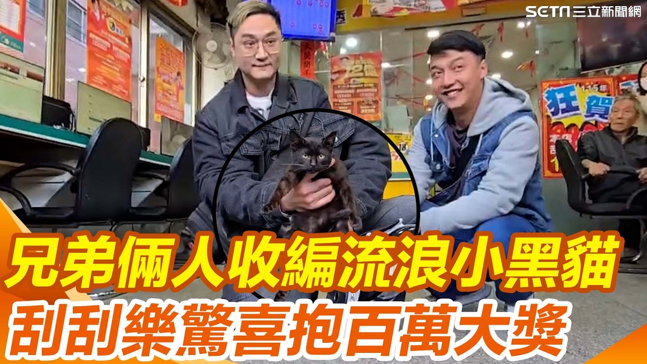 真人版「貓的報恩」！台中兄弟檔收編流浪生病的小黑貓