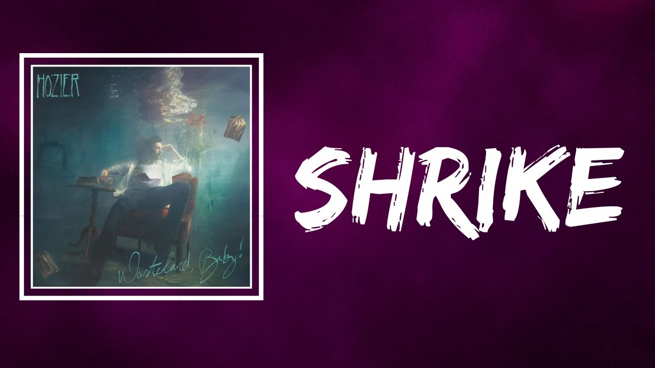 Hozier - Shrike (Lyrics)