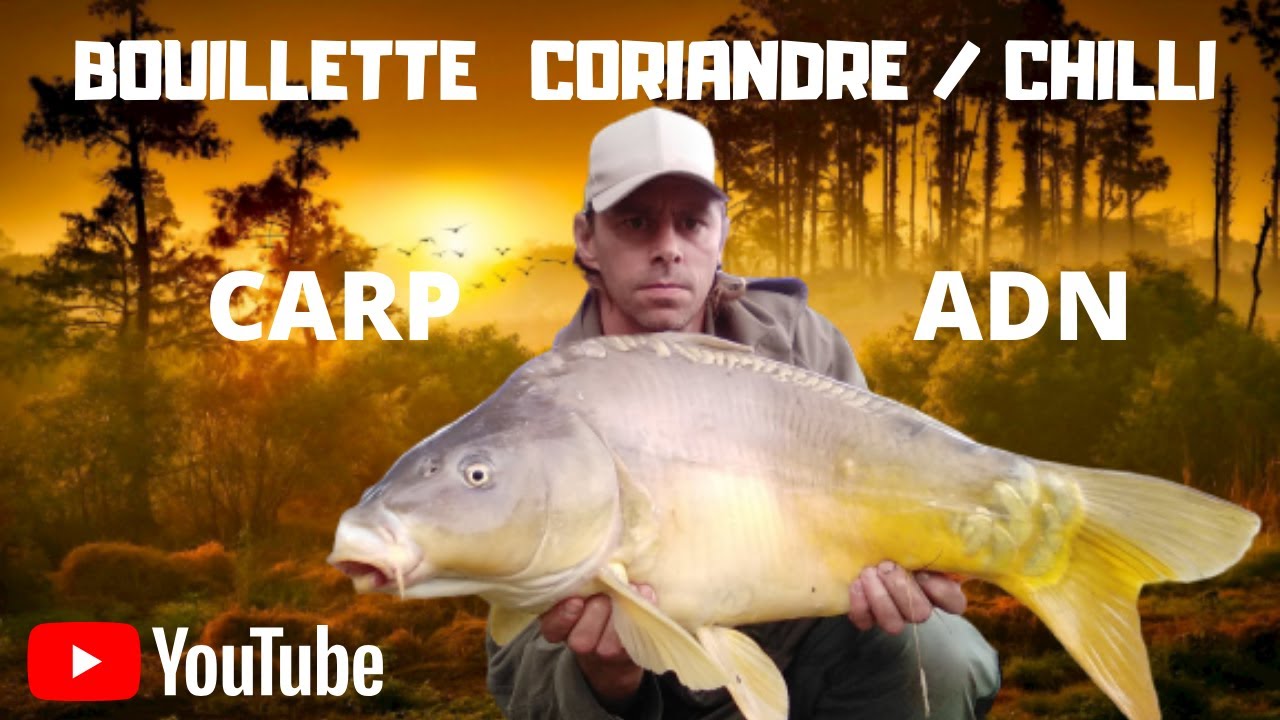 BOUILLETTE MAISON  CORIANDRE CHILLI