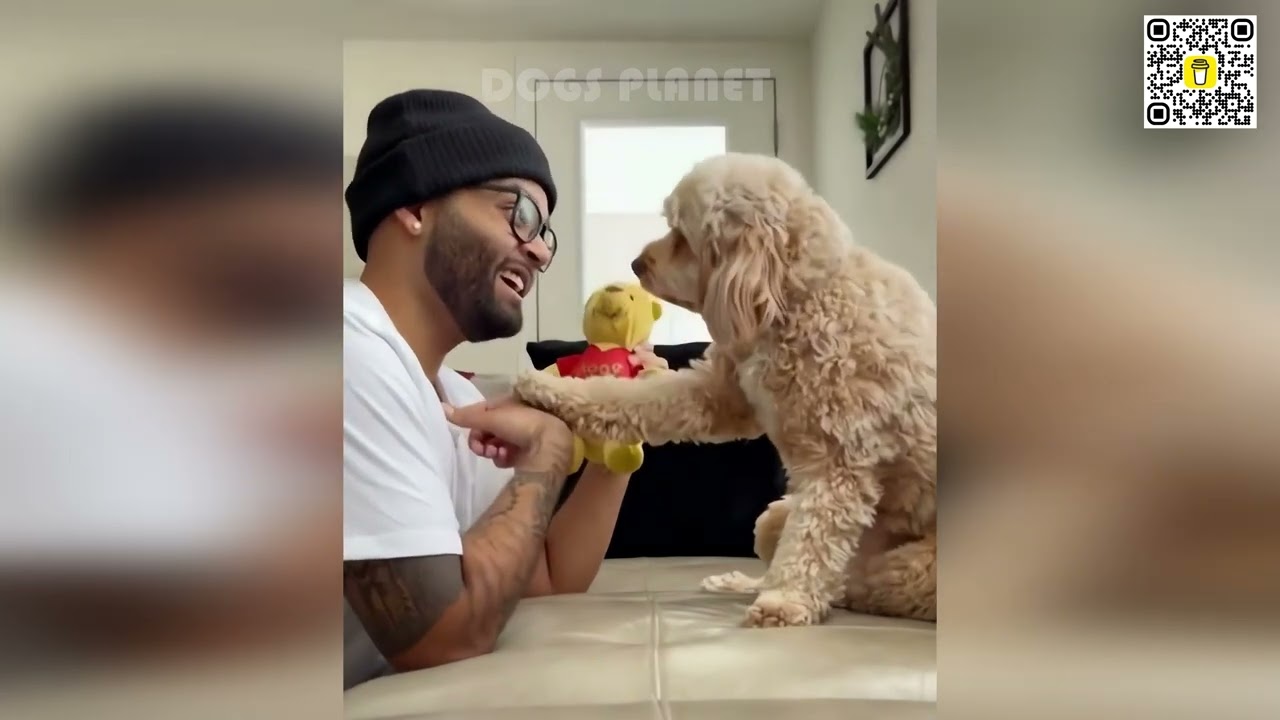 🐶🤯 Эпичные моменты с собаками: уморительные неудачи, которые нельзя пропустить! 🐶🤣
