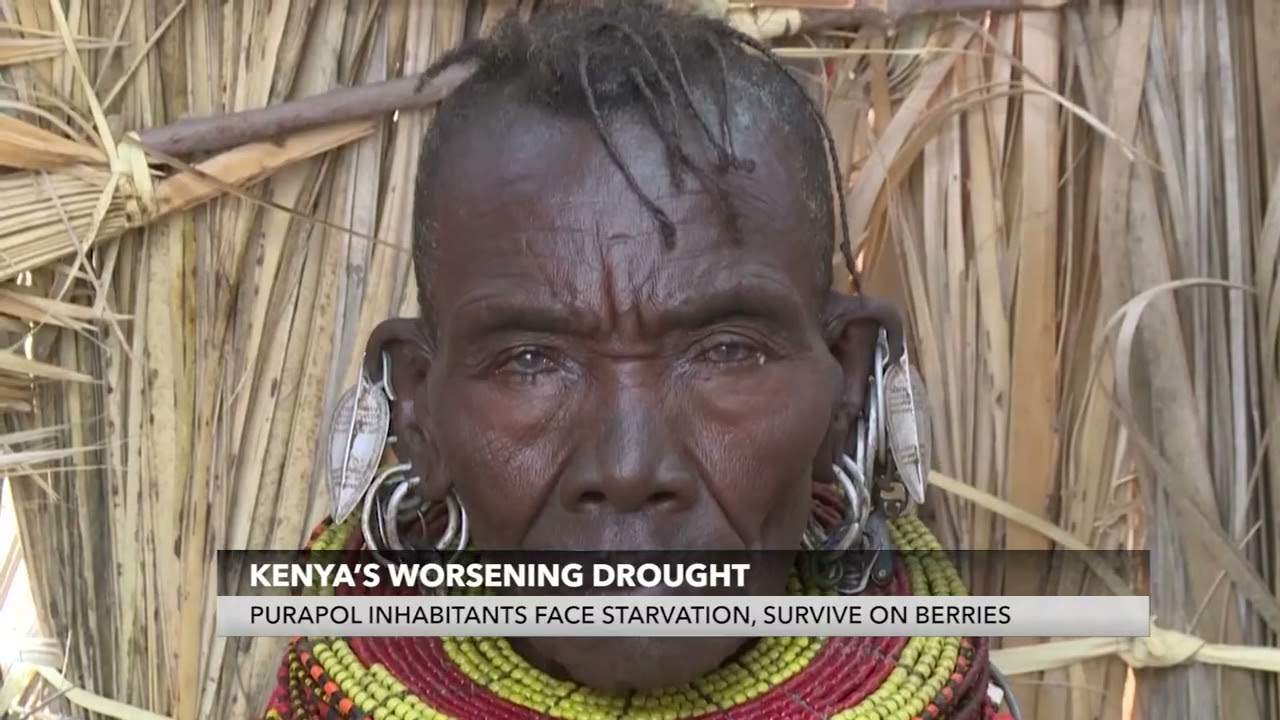 KENYA&rsquo;S WORSENING DROUGHT // PURAPOL INHABITANTS FACE STARVATION, SURVIVE ON BERRIES