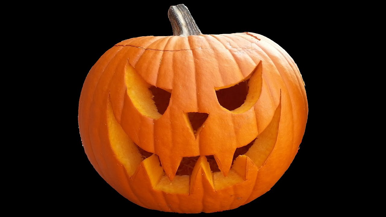 Camp Here & There Halloween Hangout