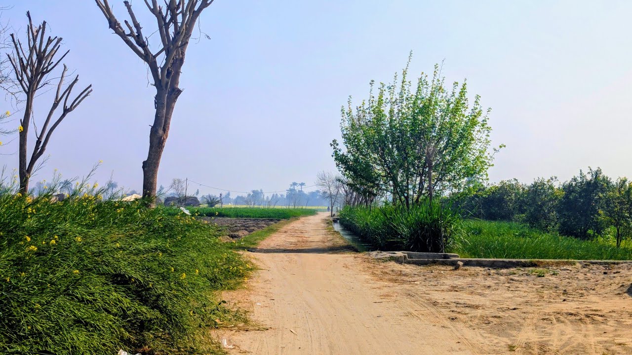 Riding Through Rural Punjab, Pakistan | Rural & Urban Mix | Silent Vlog