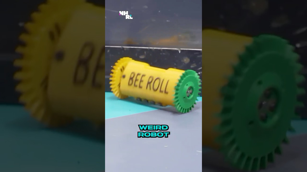 Only two moving parts, maximum chaos