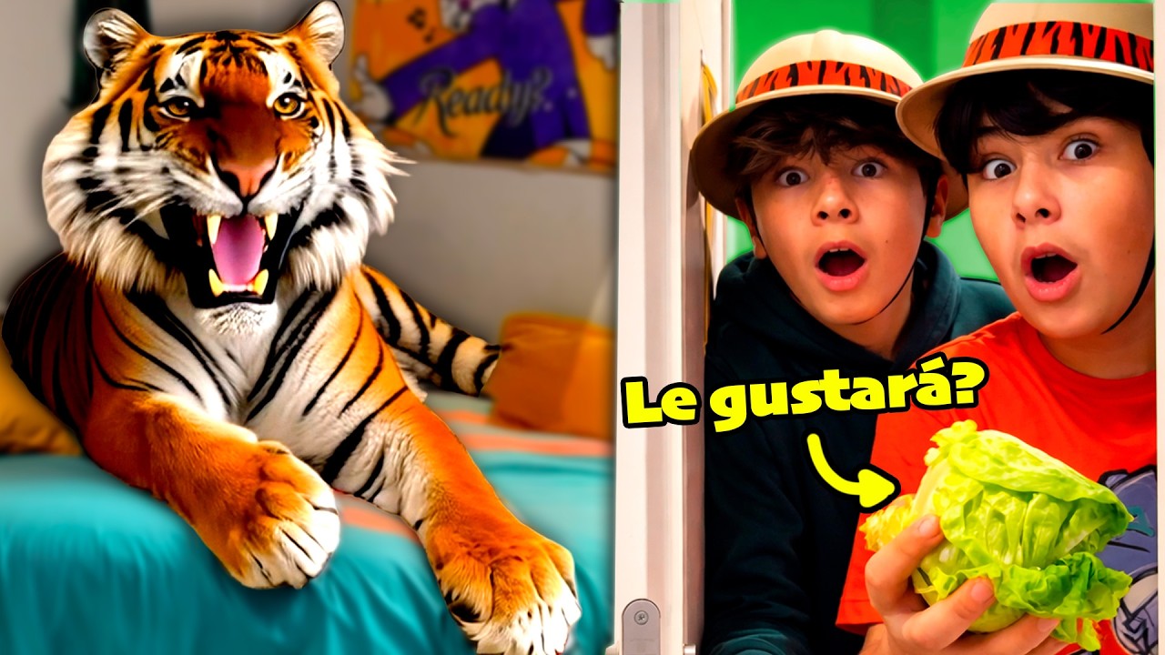¡HAY UN TIGRE EN MI HABITACIÓN! 🐯🥗 Especial PLAYMOBIL Animals and Friends!