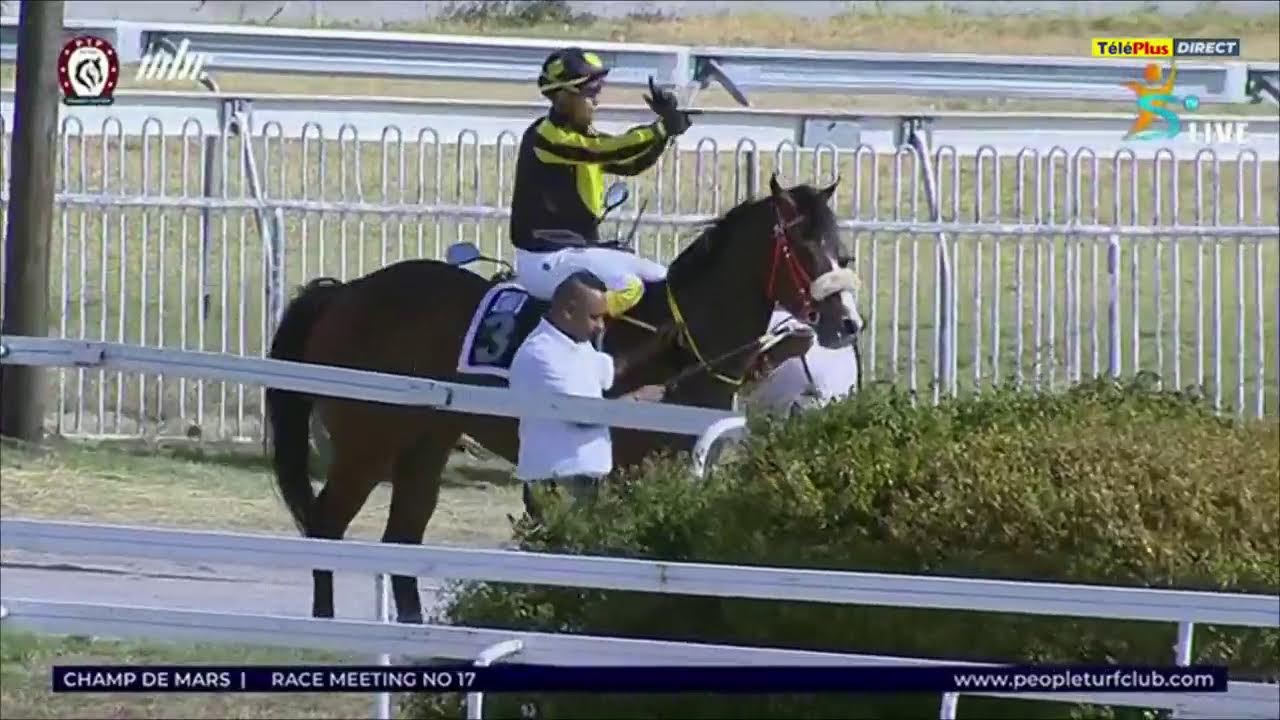 Hippisme - 17&egrave;me journ&eacute;e - La 5&egrave;me course en direct