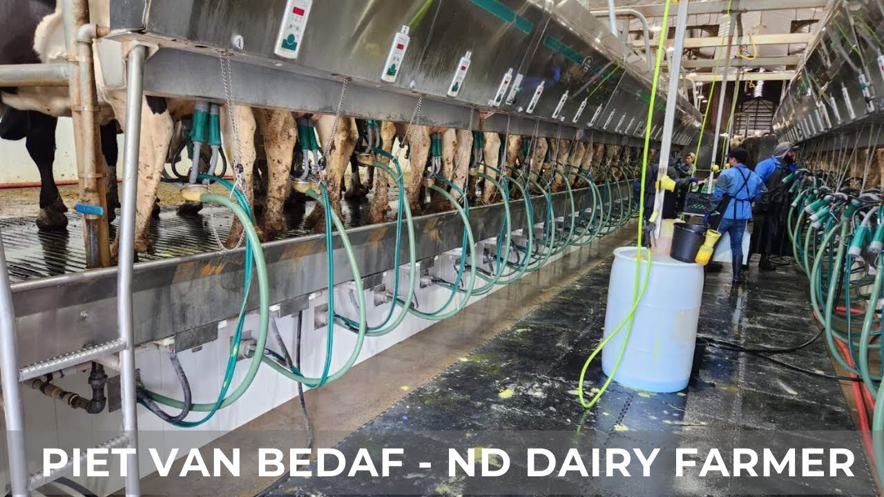 Major Milk Parlor Upgrade (139)